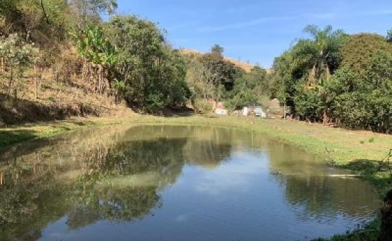 Sítio a venda em Serra Negra 