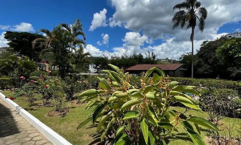 Apartamento à venda em Serra Negra