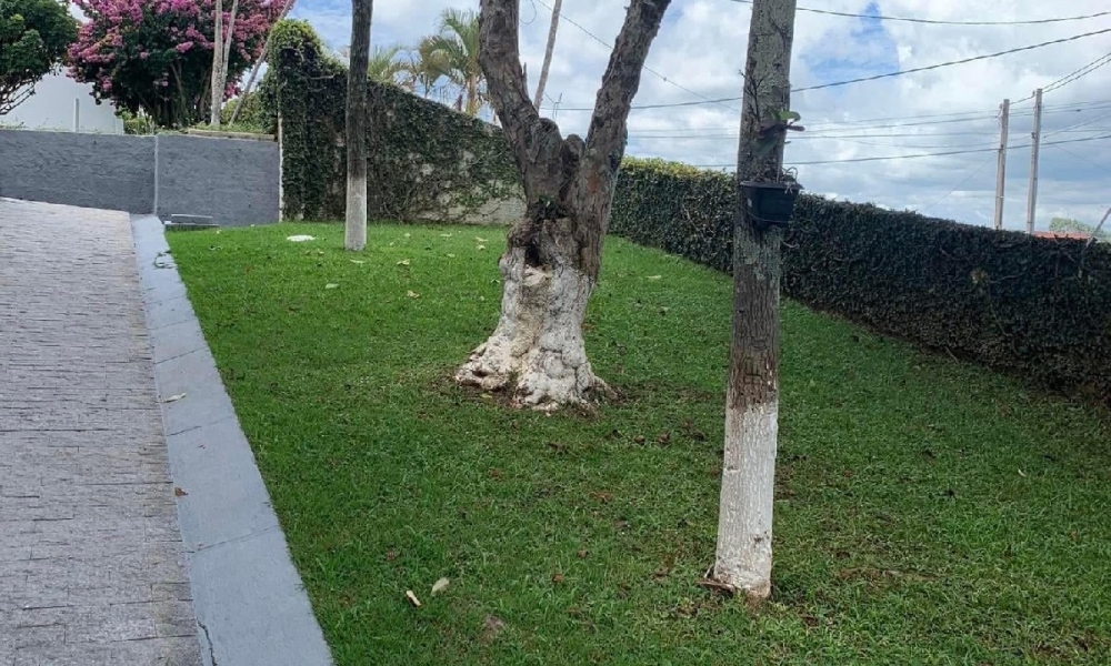 Chácara a venda em Serra Negra