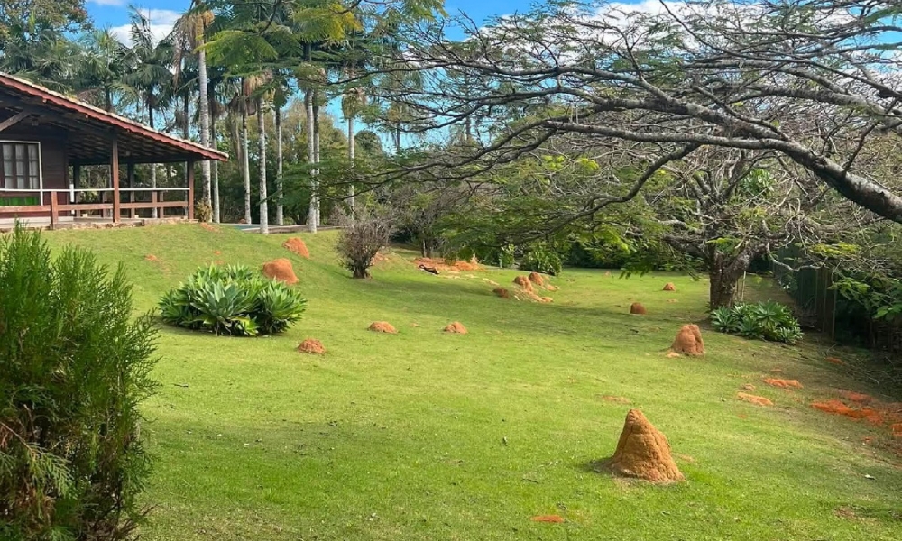 Chácara com 3.000 m2