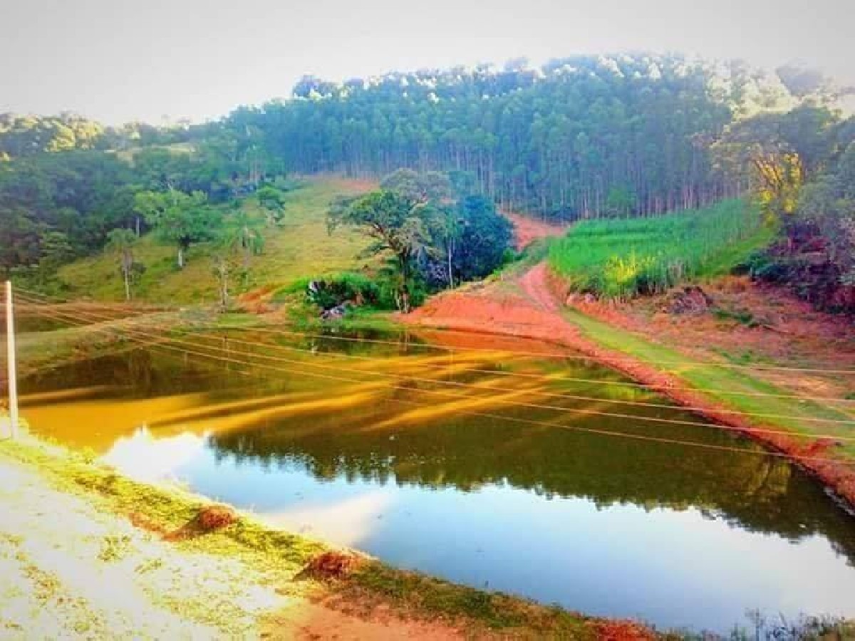 Pesqueiro a venda em Serra Negra